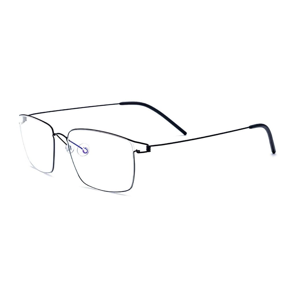 Product VISALIA Titanium Screwless Frame