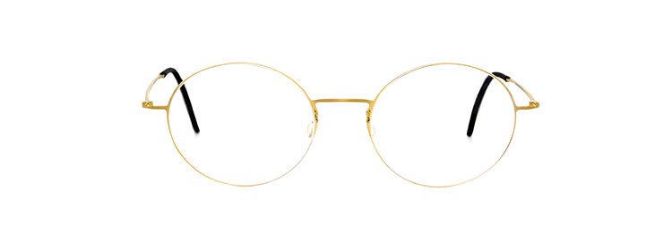 Titanium Strip Glasses