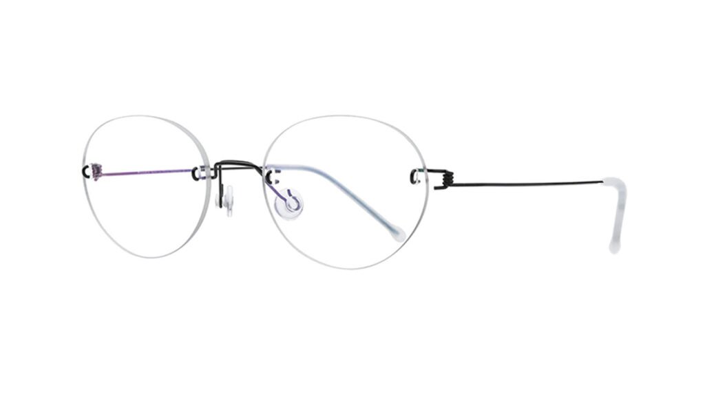 RL Women's Eyeglasses What to Consider